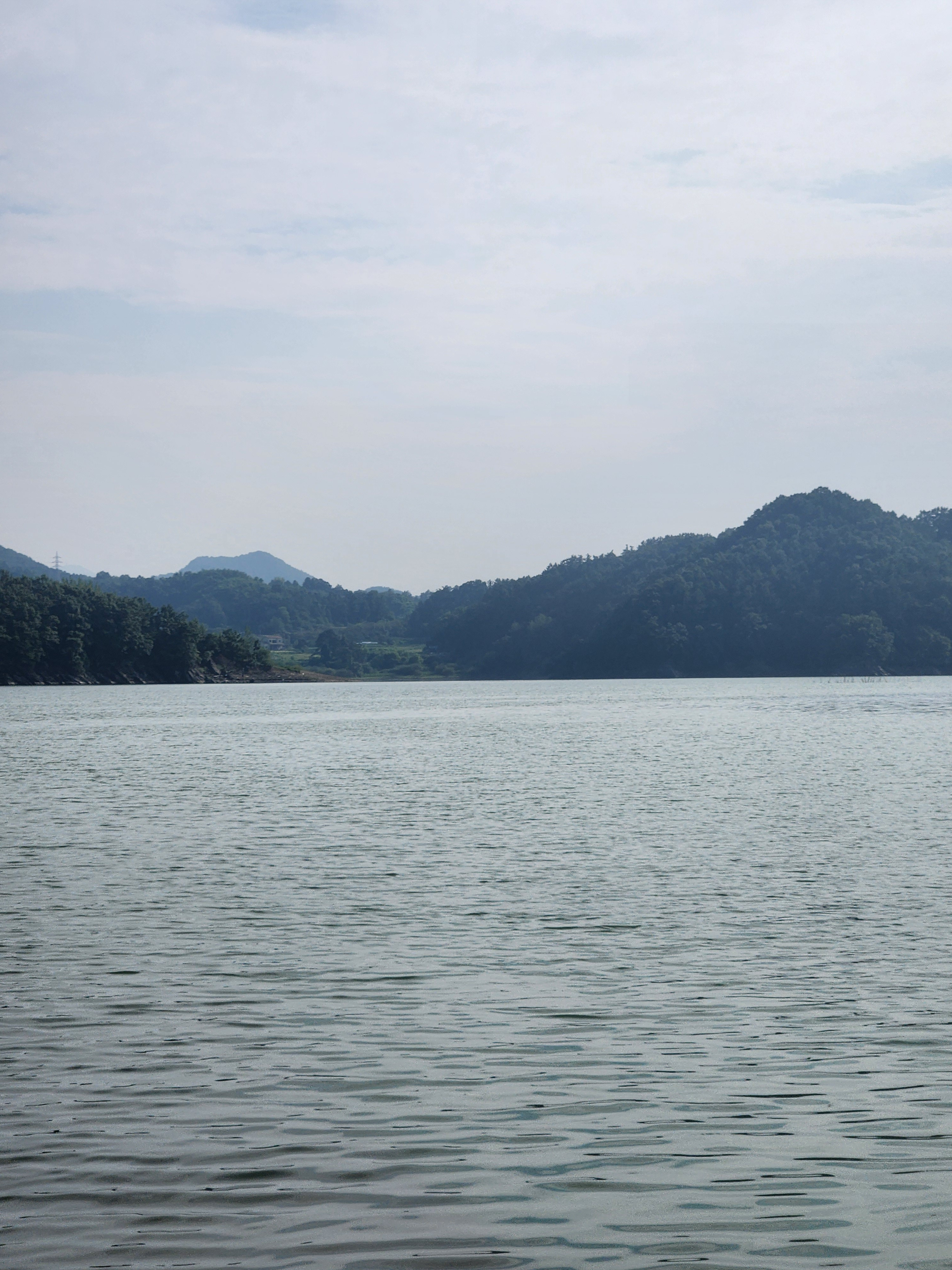 작성자 프로필 이미지