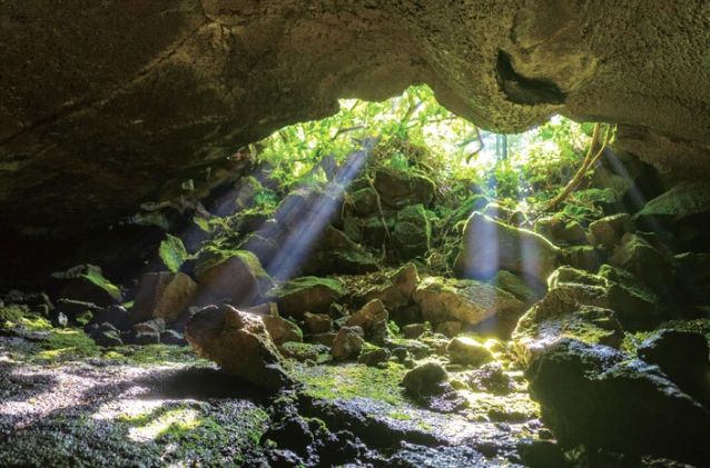 작성자 프로필 이미지