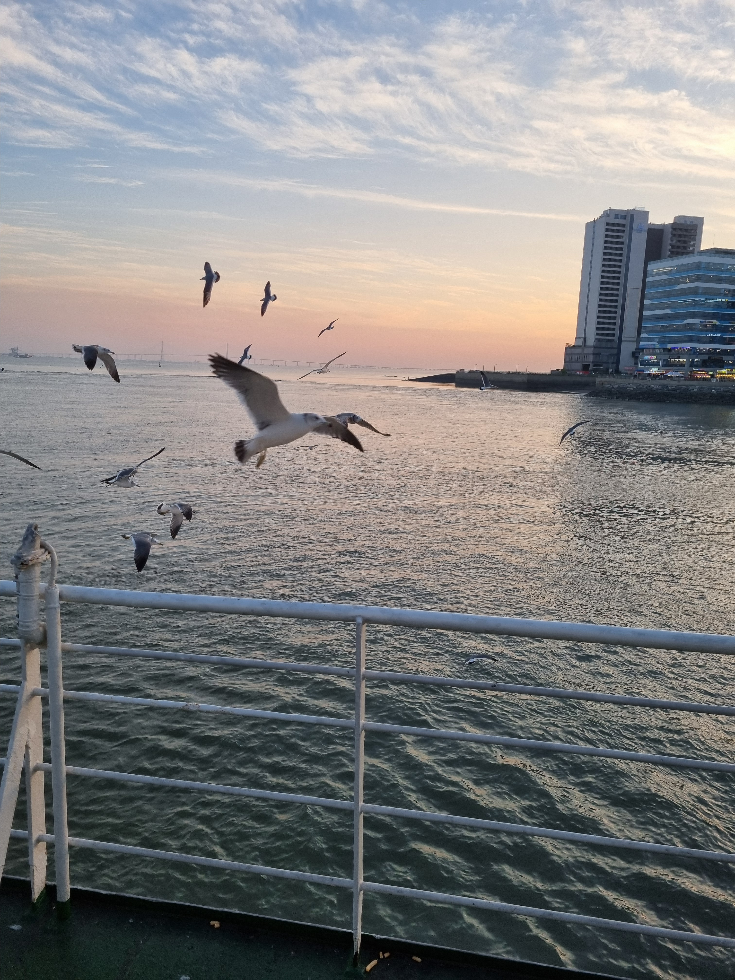 작성자 프로필 이미지