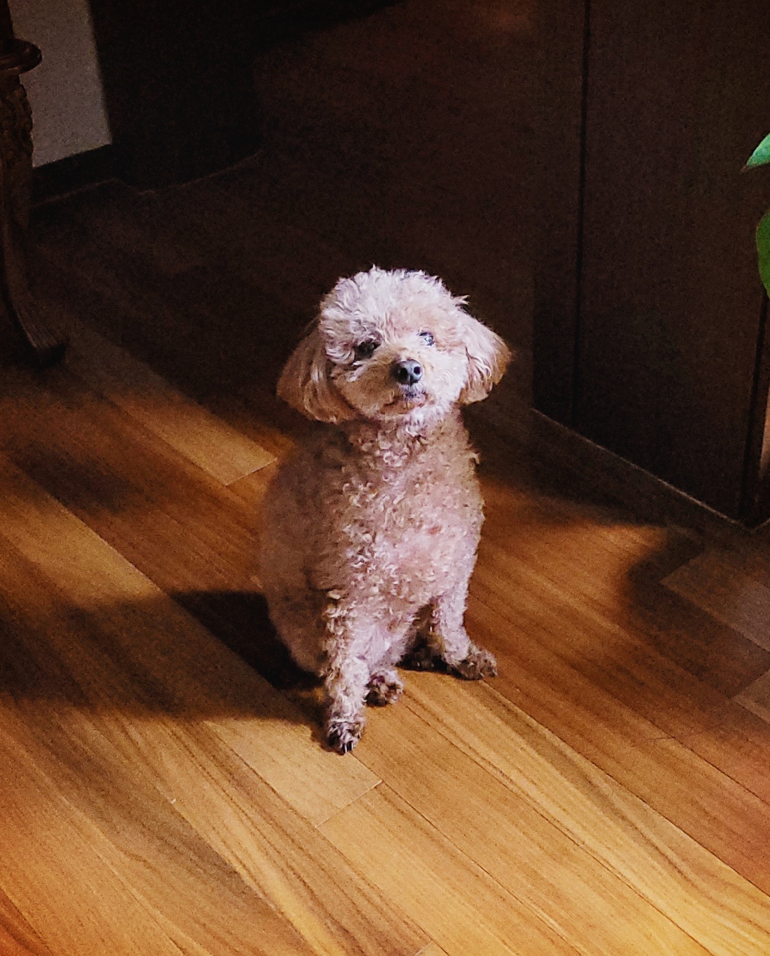 작성자 프로필 이미지