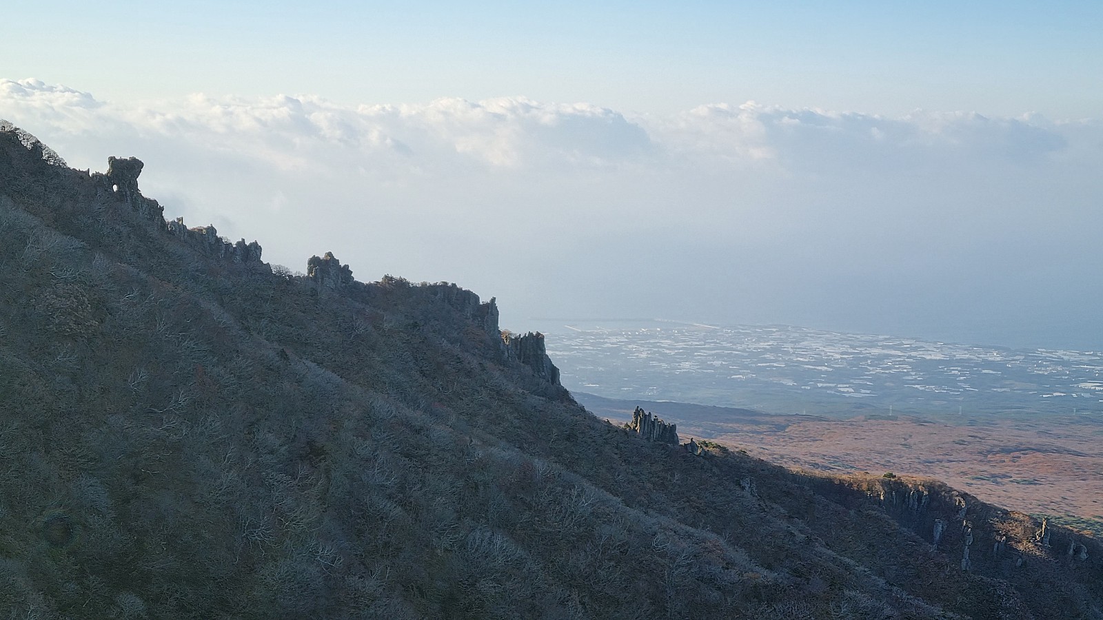 작성자 프로필 이미지