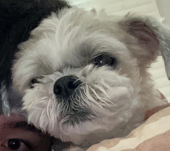 작성자 프로필 이미지