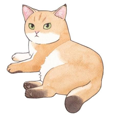 작성자 프로필 이미지