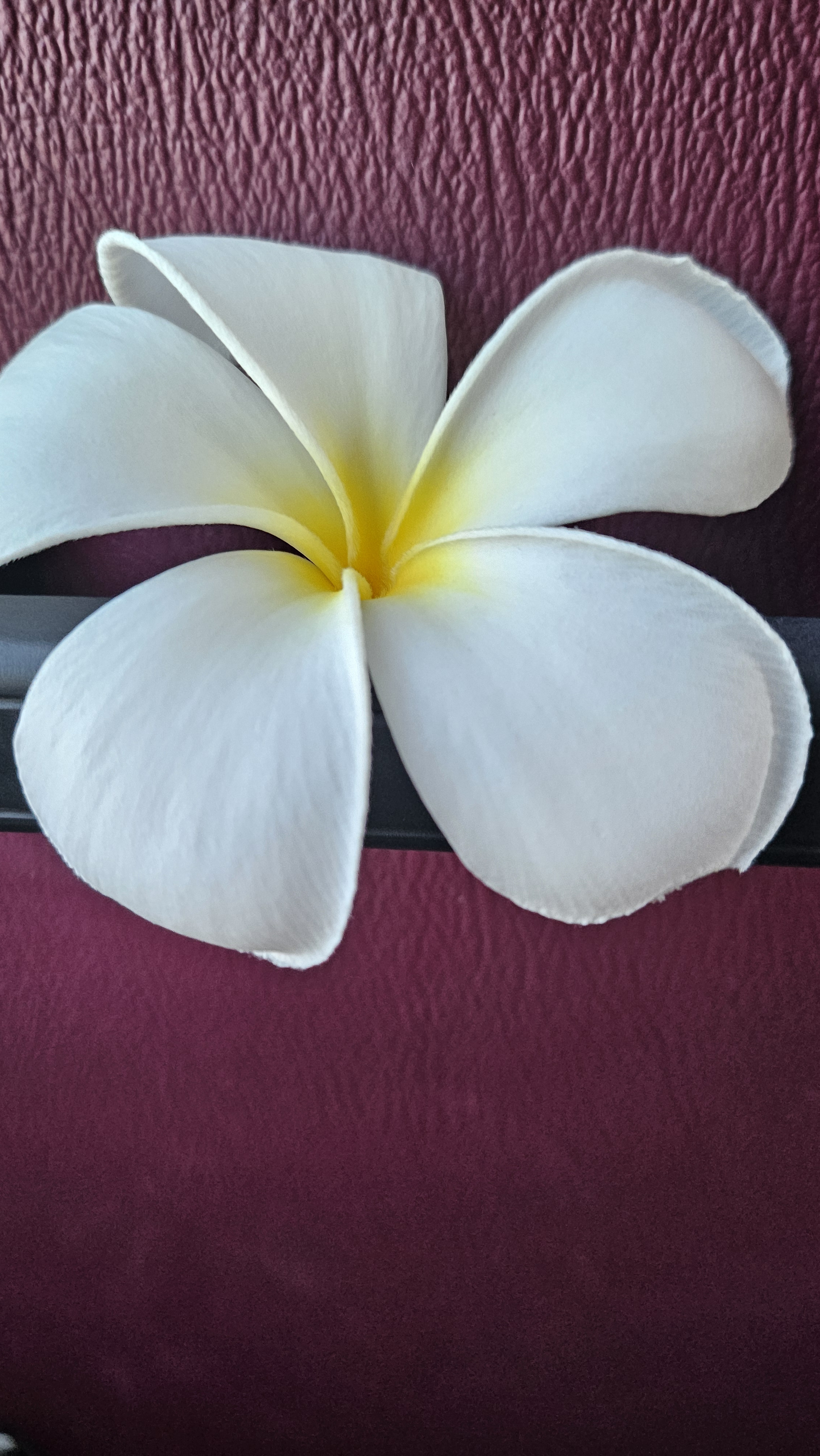 작성자 프로필 이미지