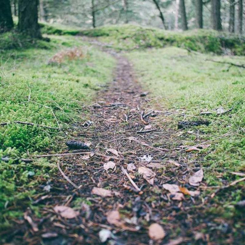 작성자 프로필 이미지