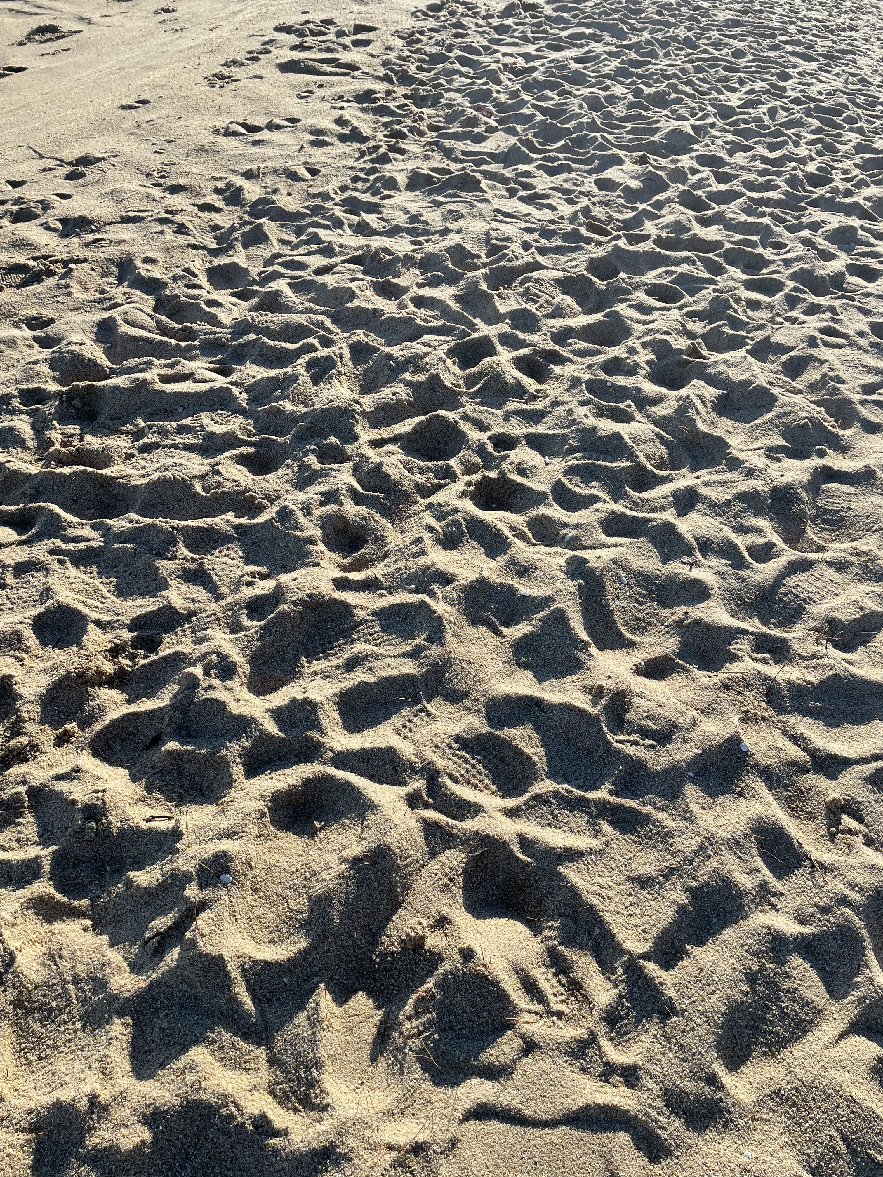 작성자 프로필 이미지