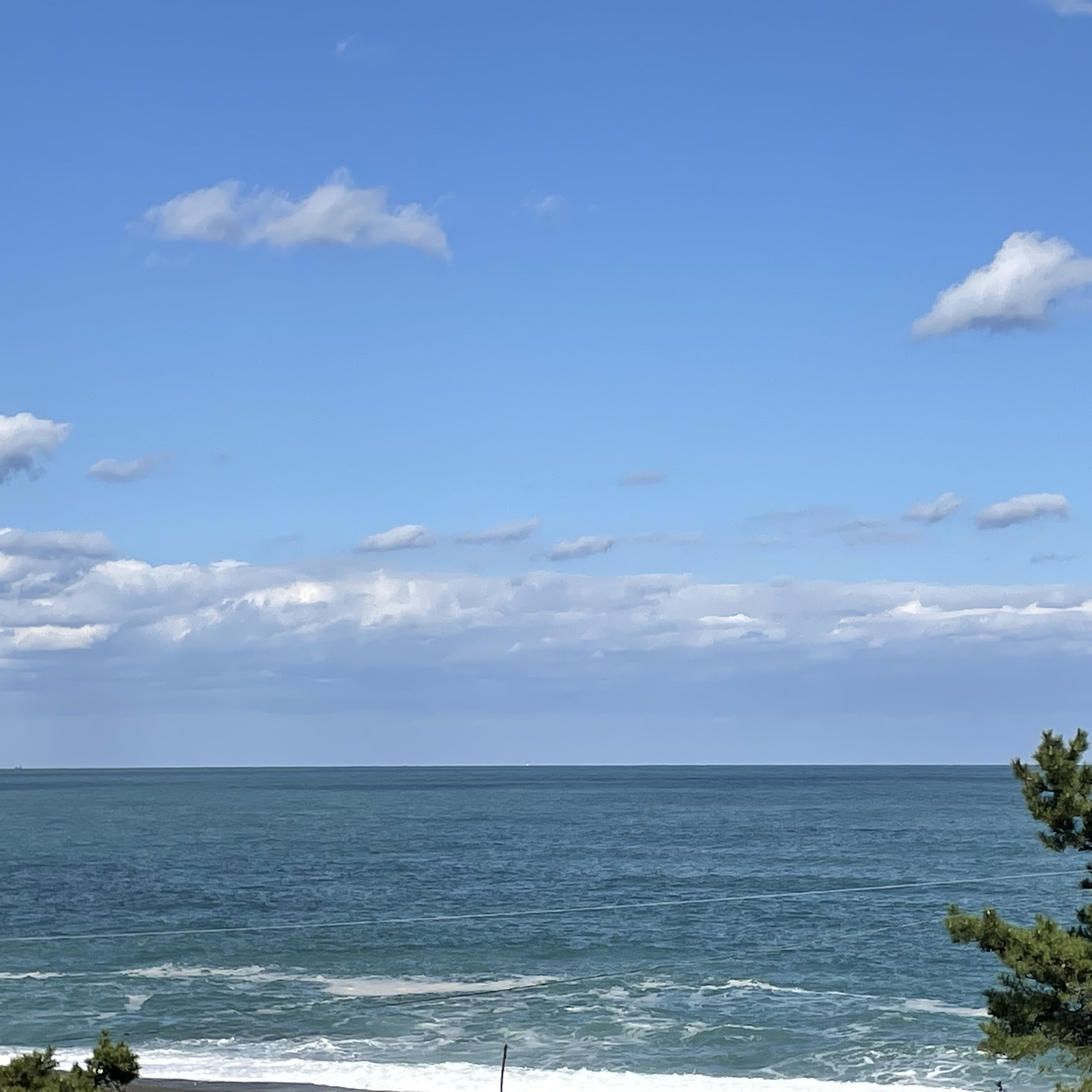 작성자 프로필 이미지