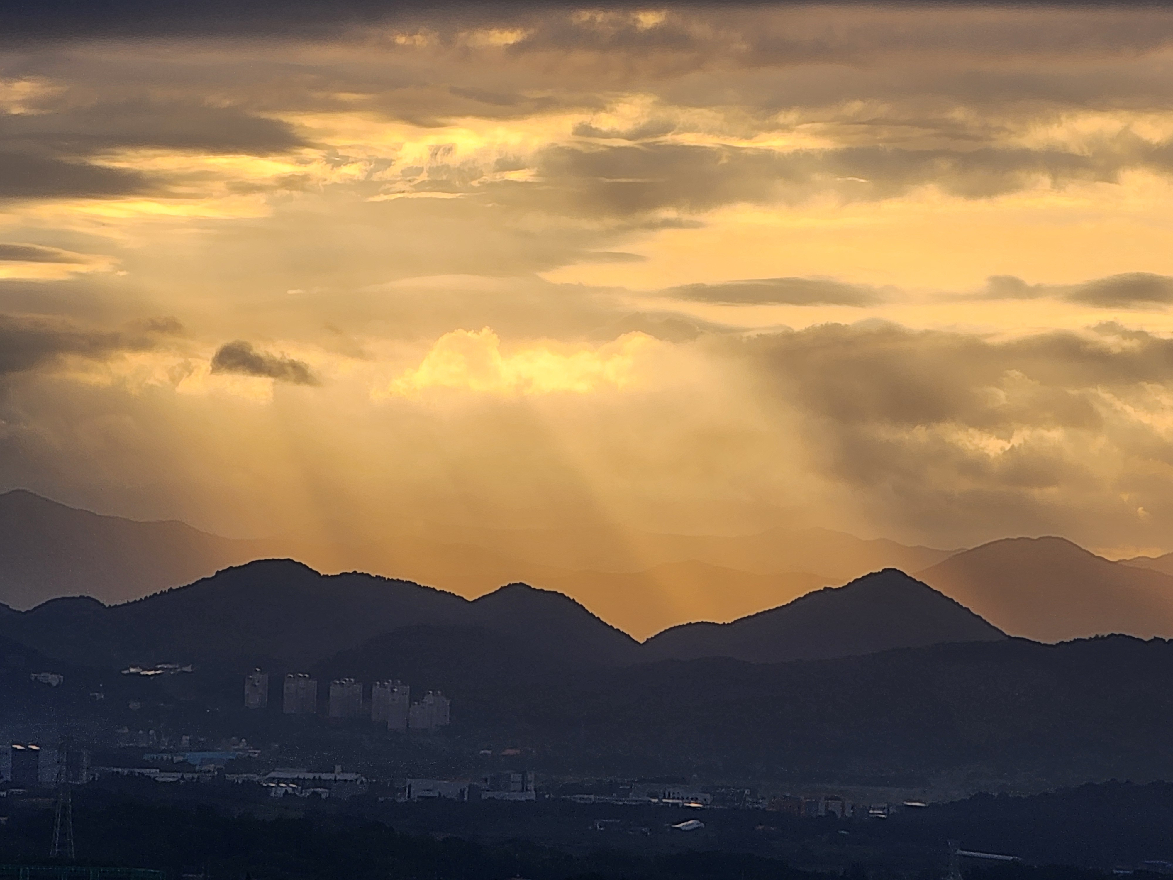 작성자 프로필 이미지