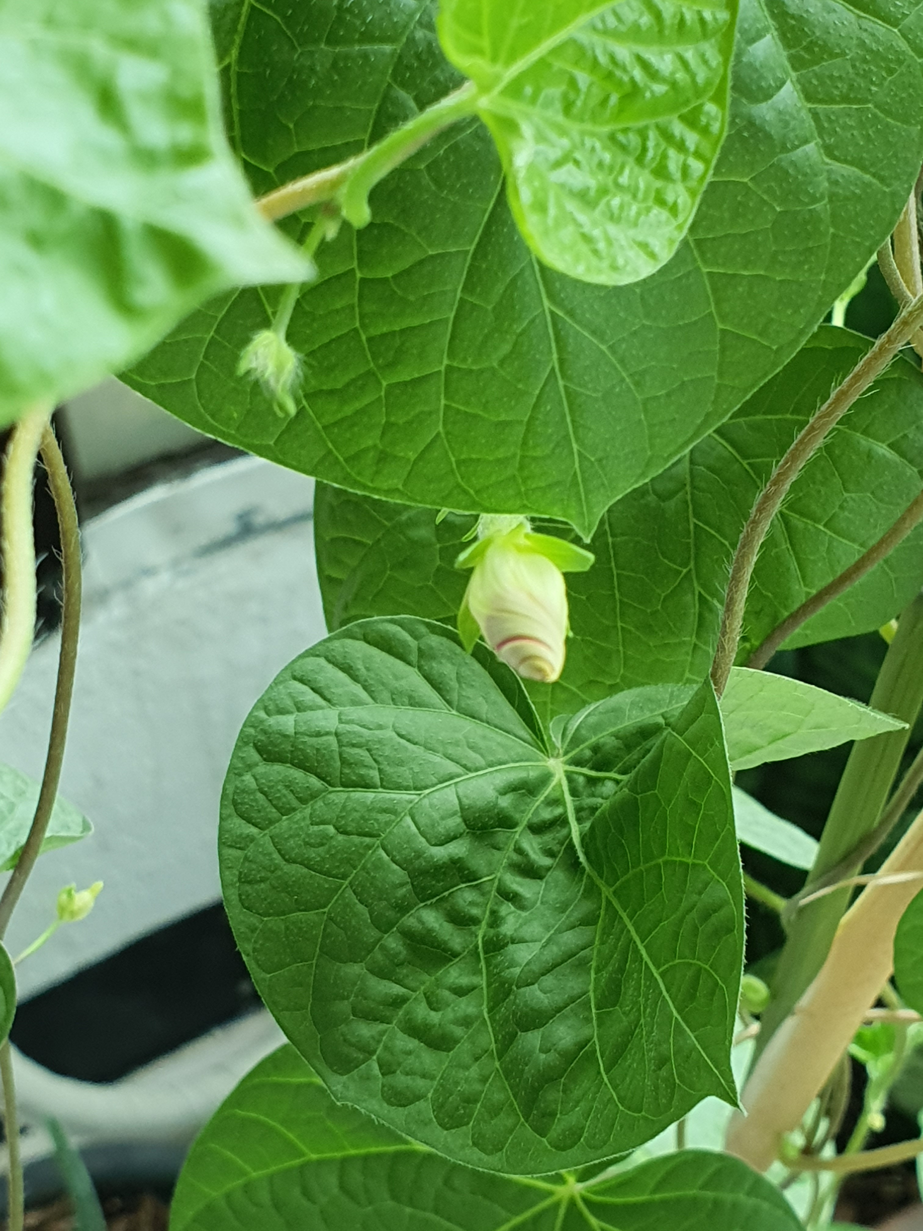 작성자 프로필 이미지