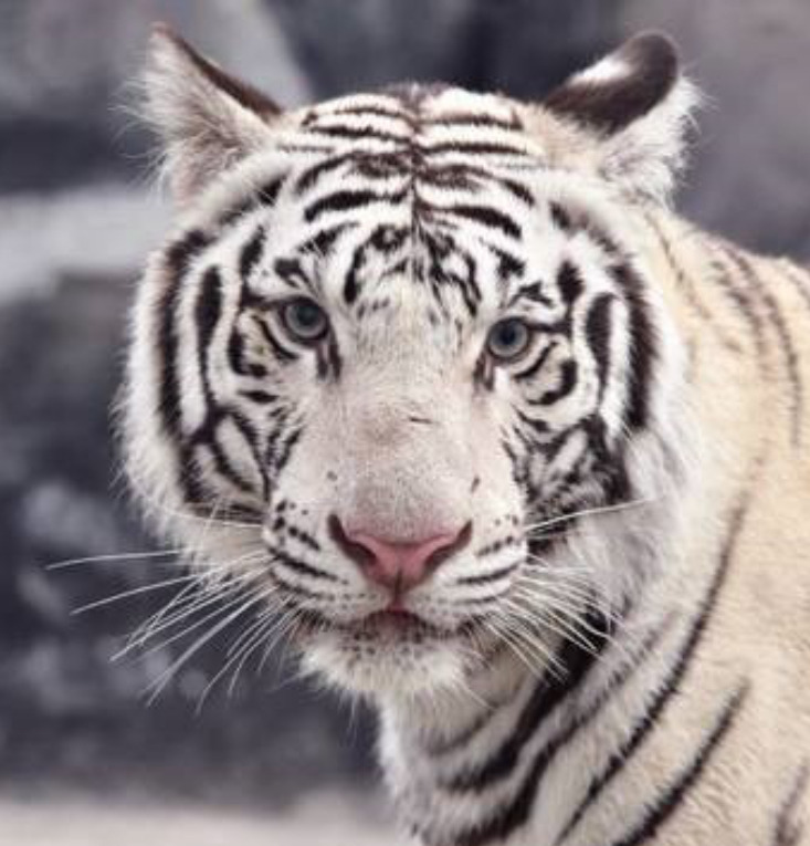 작성자 프로필 이미지