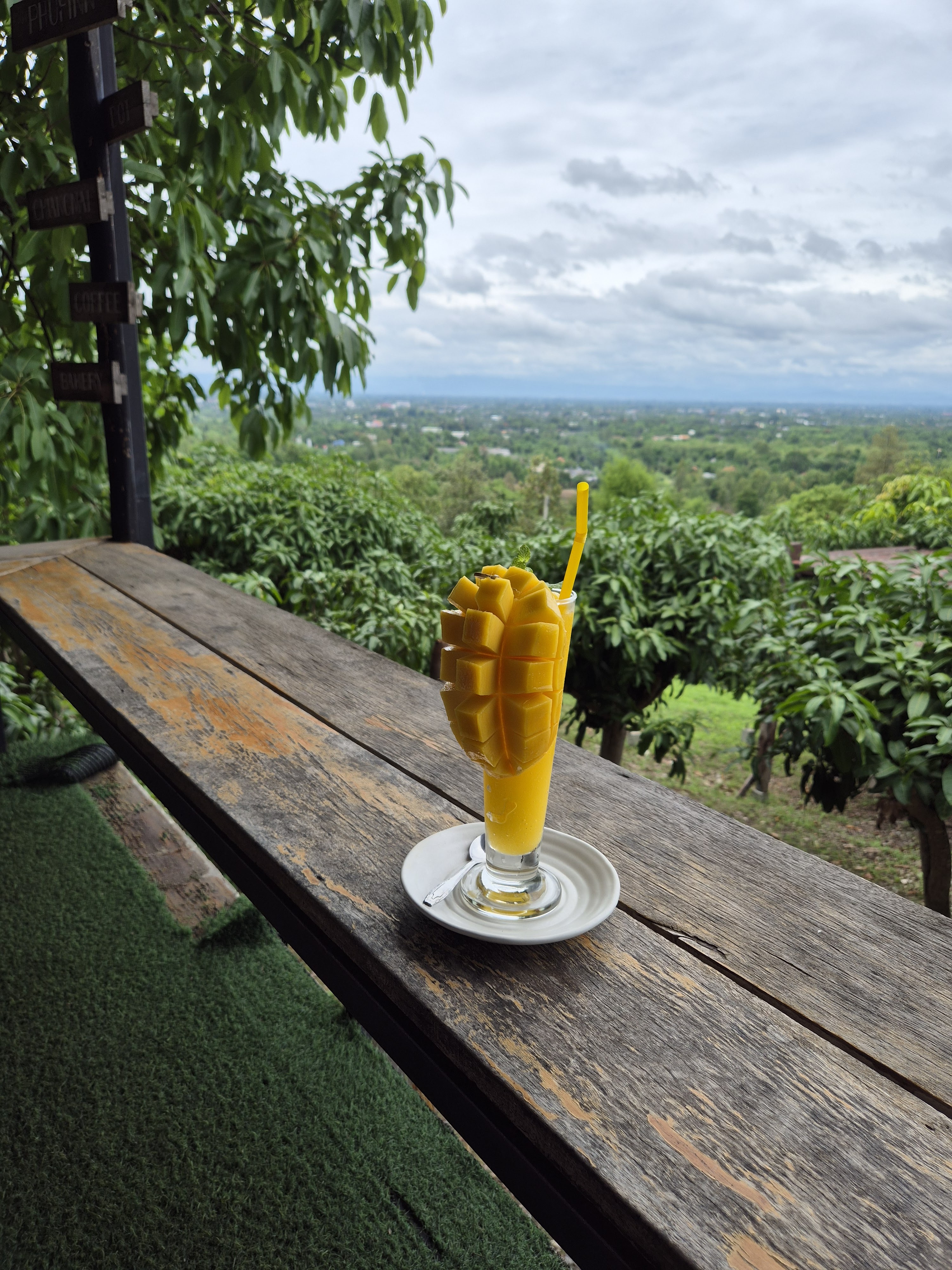 작성자 프로필 이미지