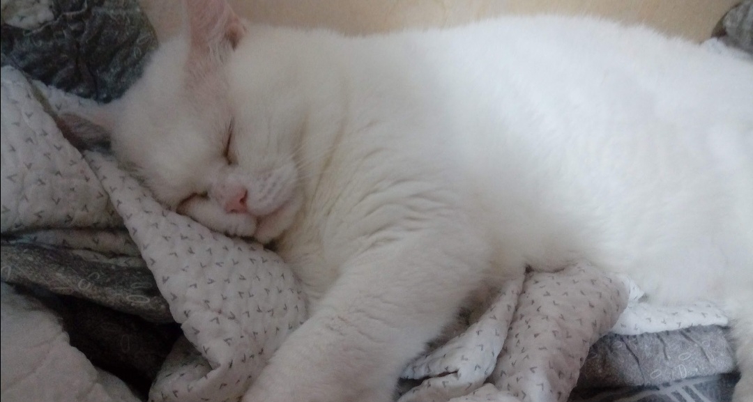 작성자 프로필 이미지