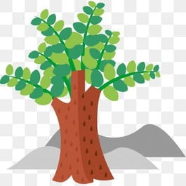 작성자 프로필 이미지