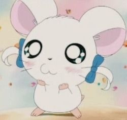 작성자 프로필 이미지