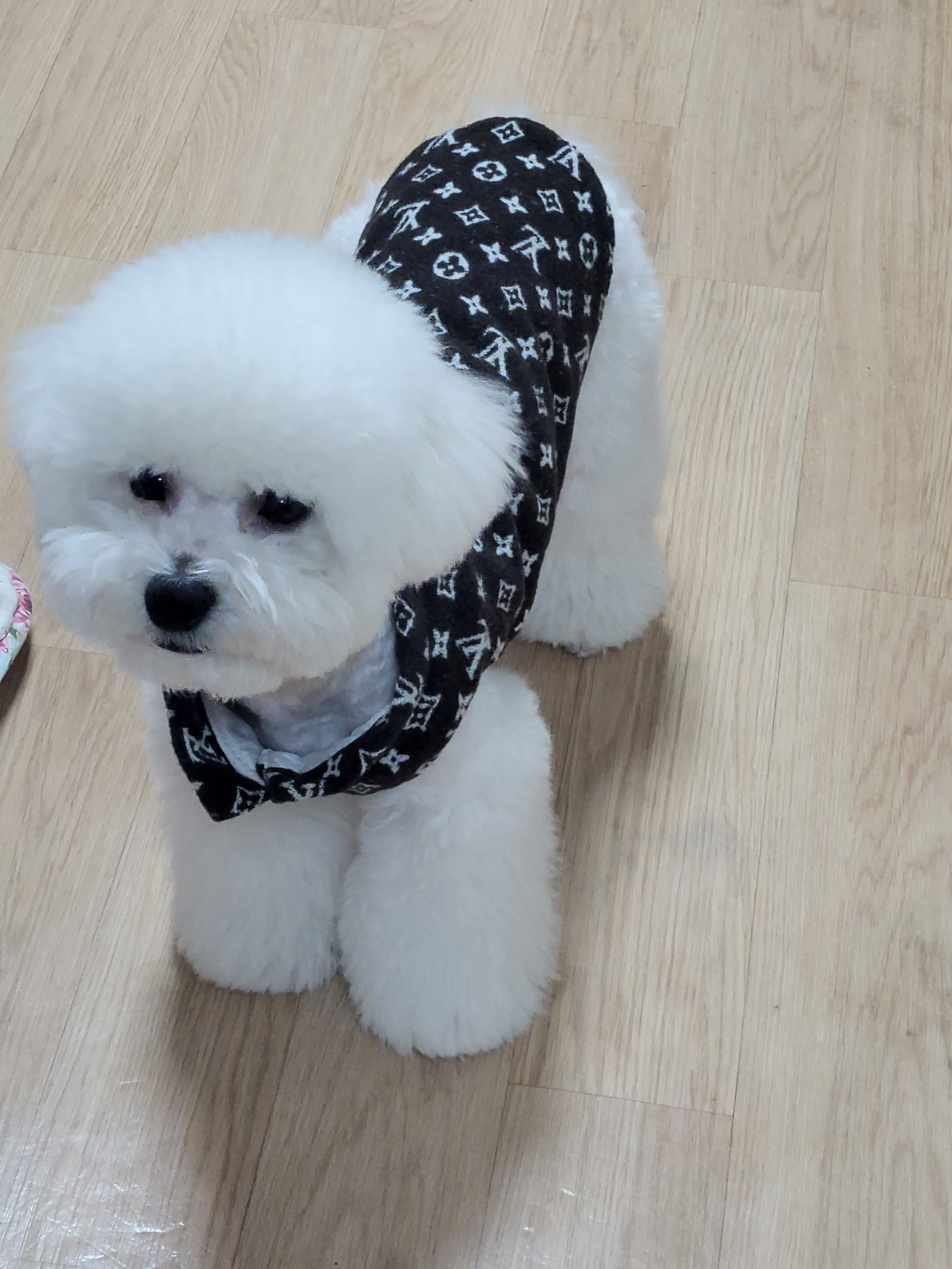 작성자 프로필 이미지