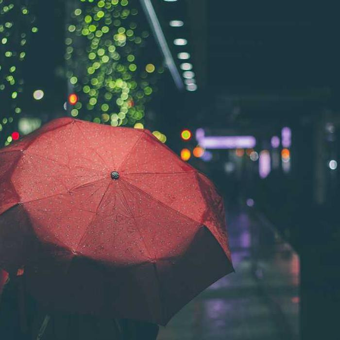 작성자 프로필 이미지