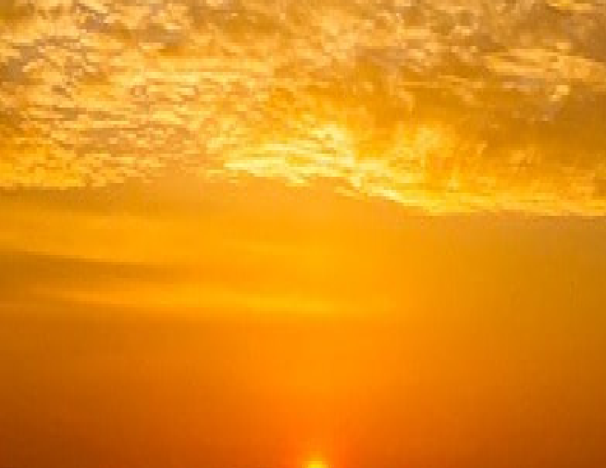 작성자 프로필 이미지