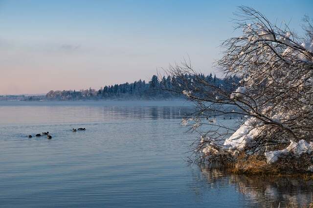 작성자 프로필 이미지