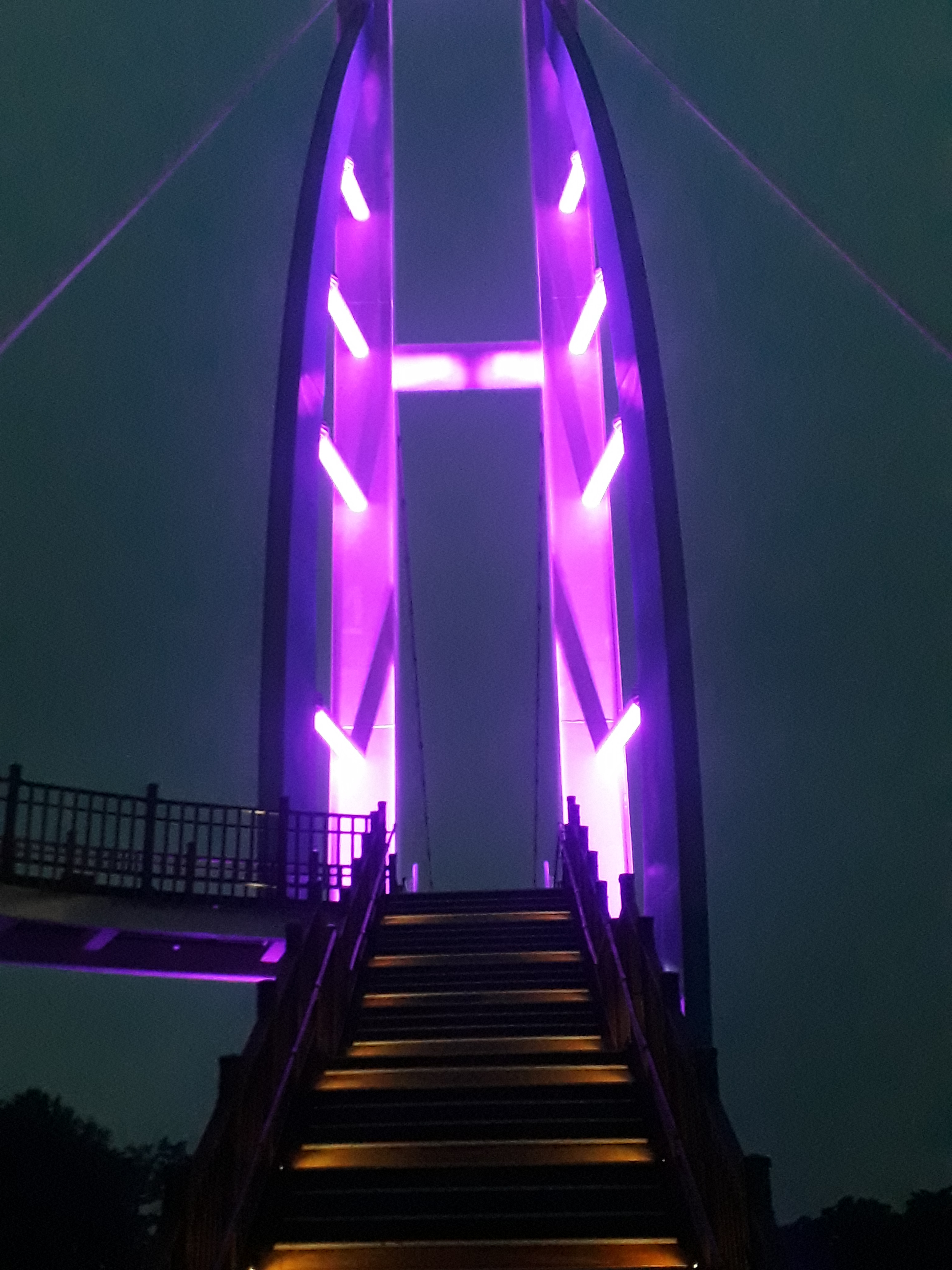 작성자 프로필 이미지