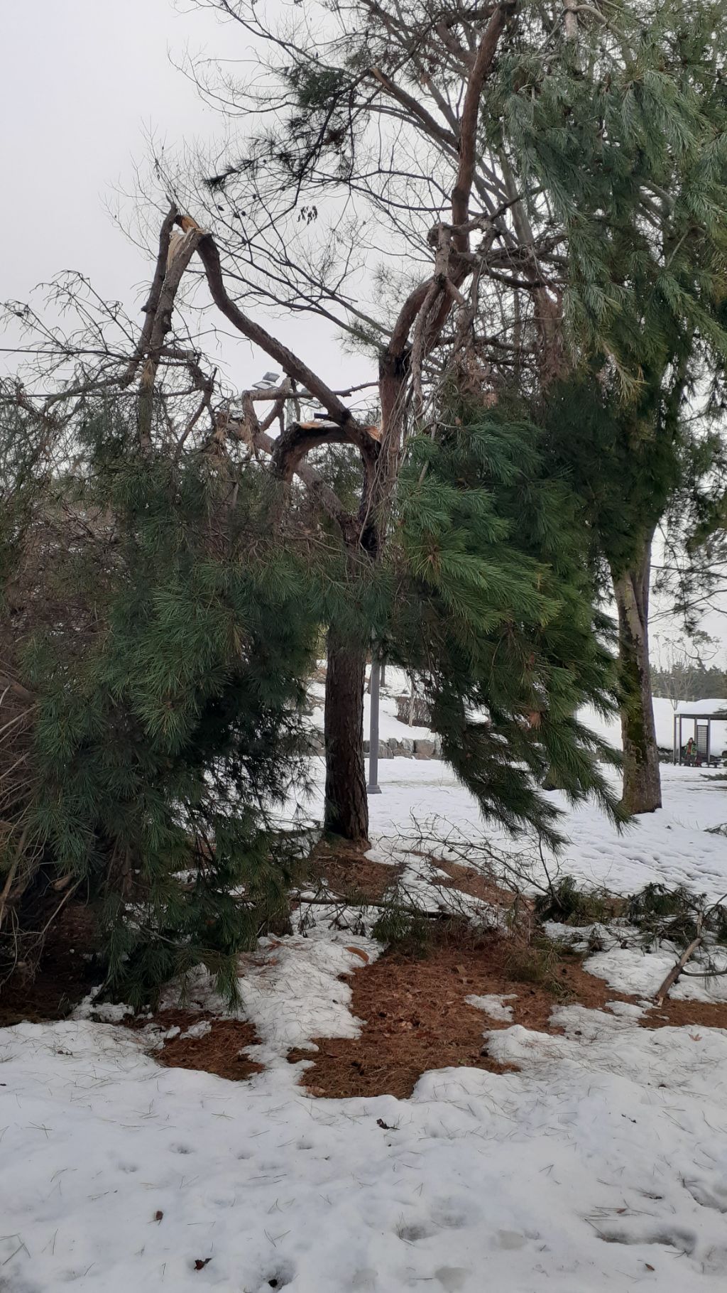 작성자 프로필 이미지