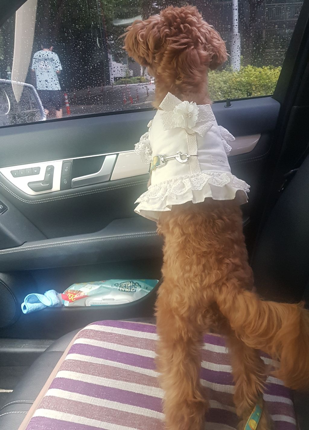 작성자 프로필 이미지