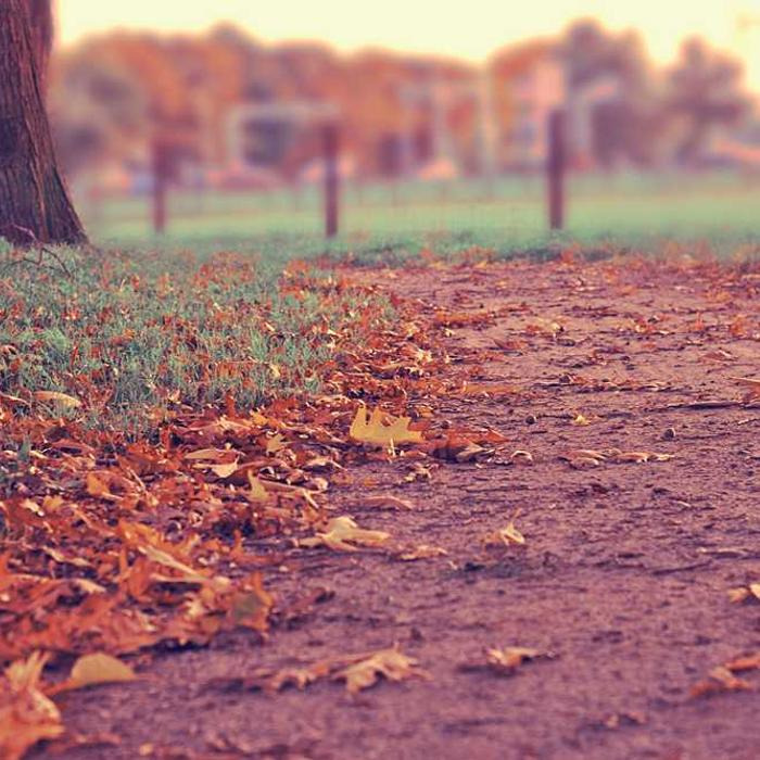 작성자 프로필 이미지