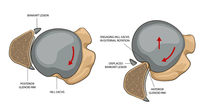작성자 프로필 이미지
