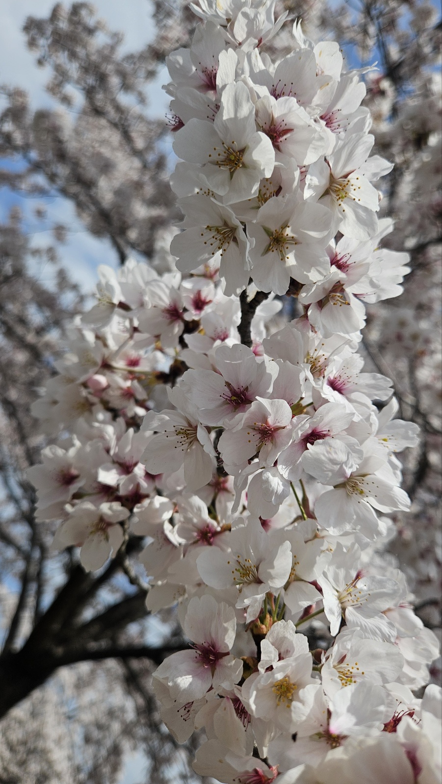 작성자 프로필 이미지