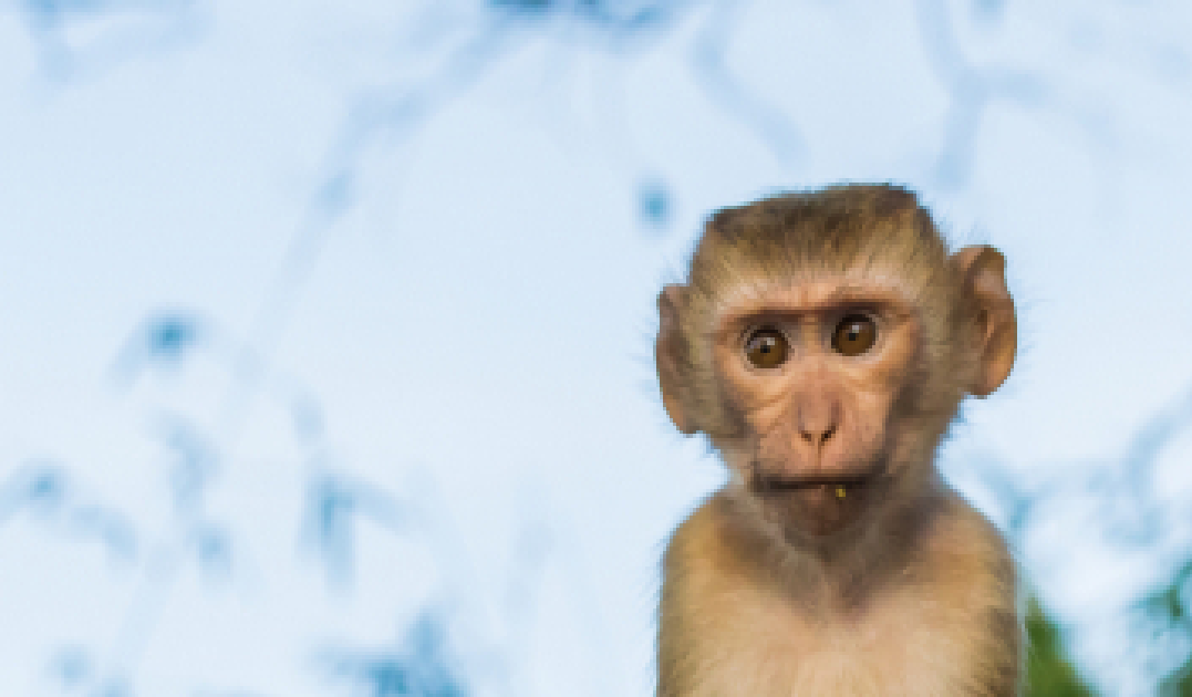 작성자 프로필 이미지