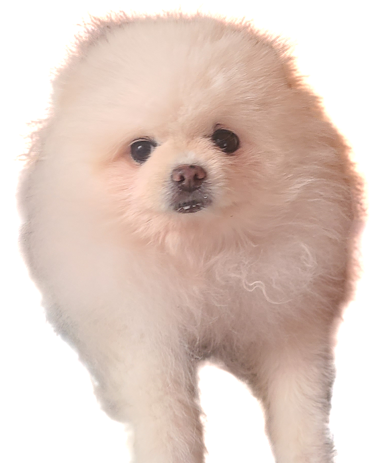 작성자 프로필 이미지