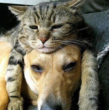 작성자 프로필 이미지