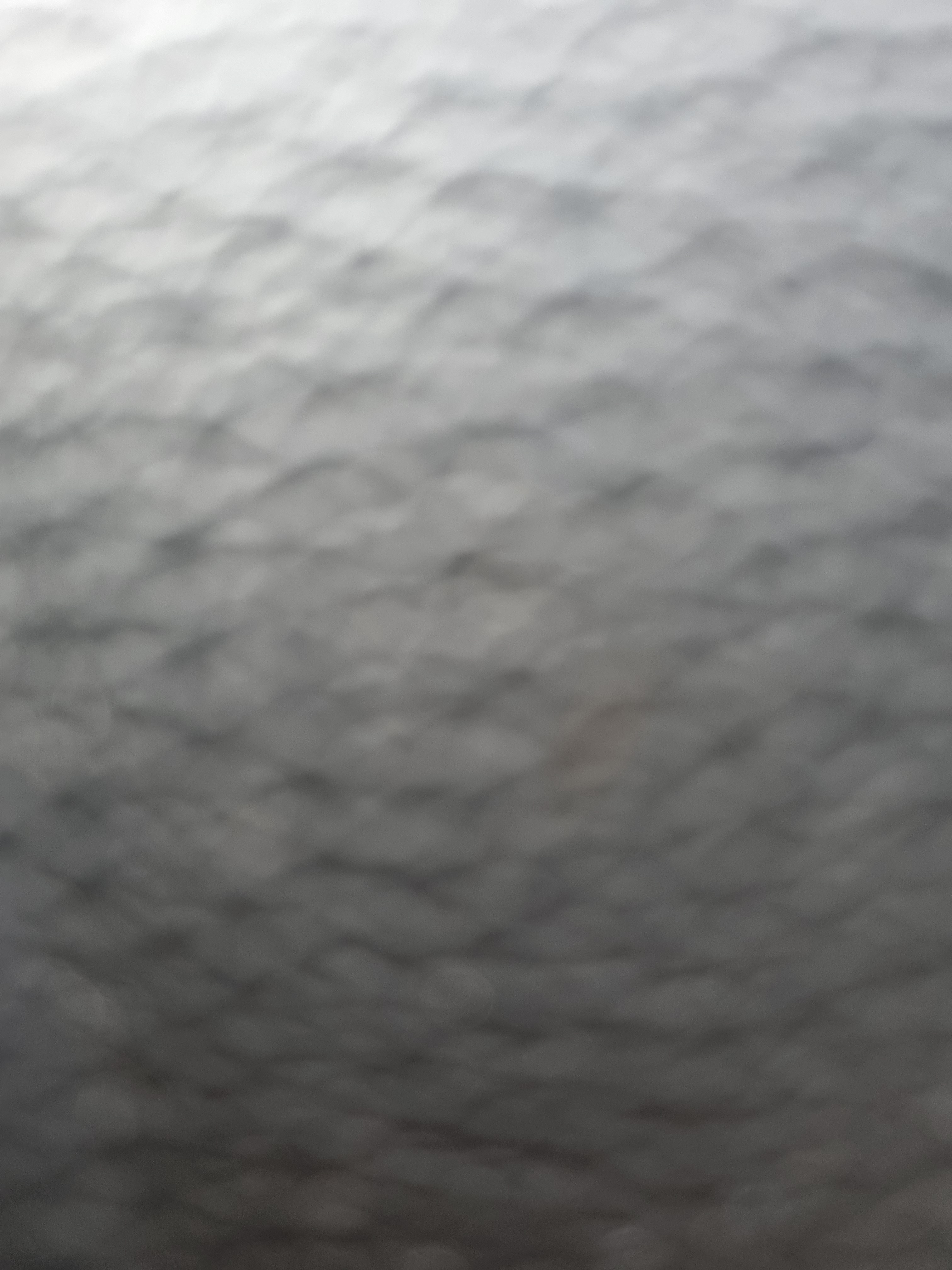 작성자 프로필 이미지