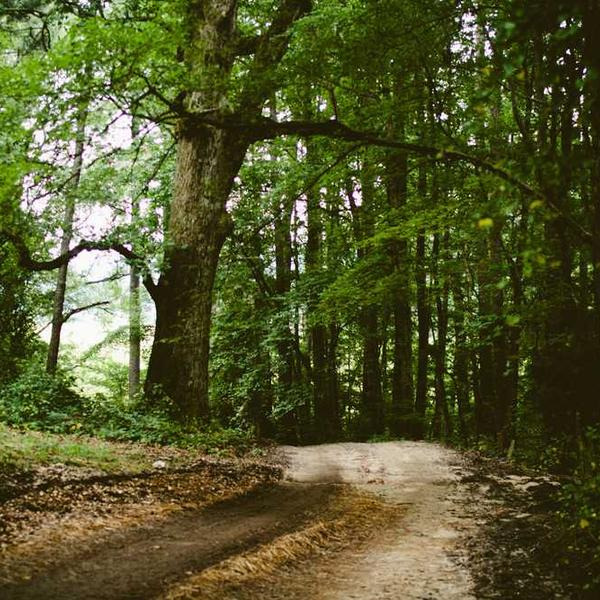 작성자 프로필 이미지