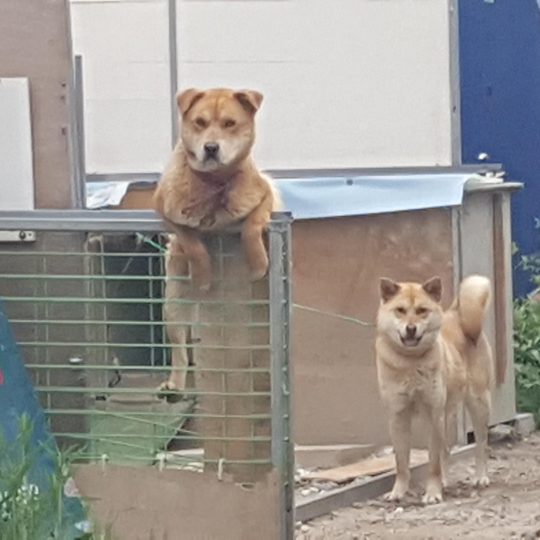 작성자 프로필 이미지