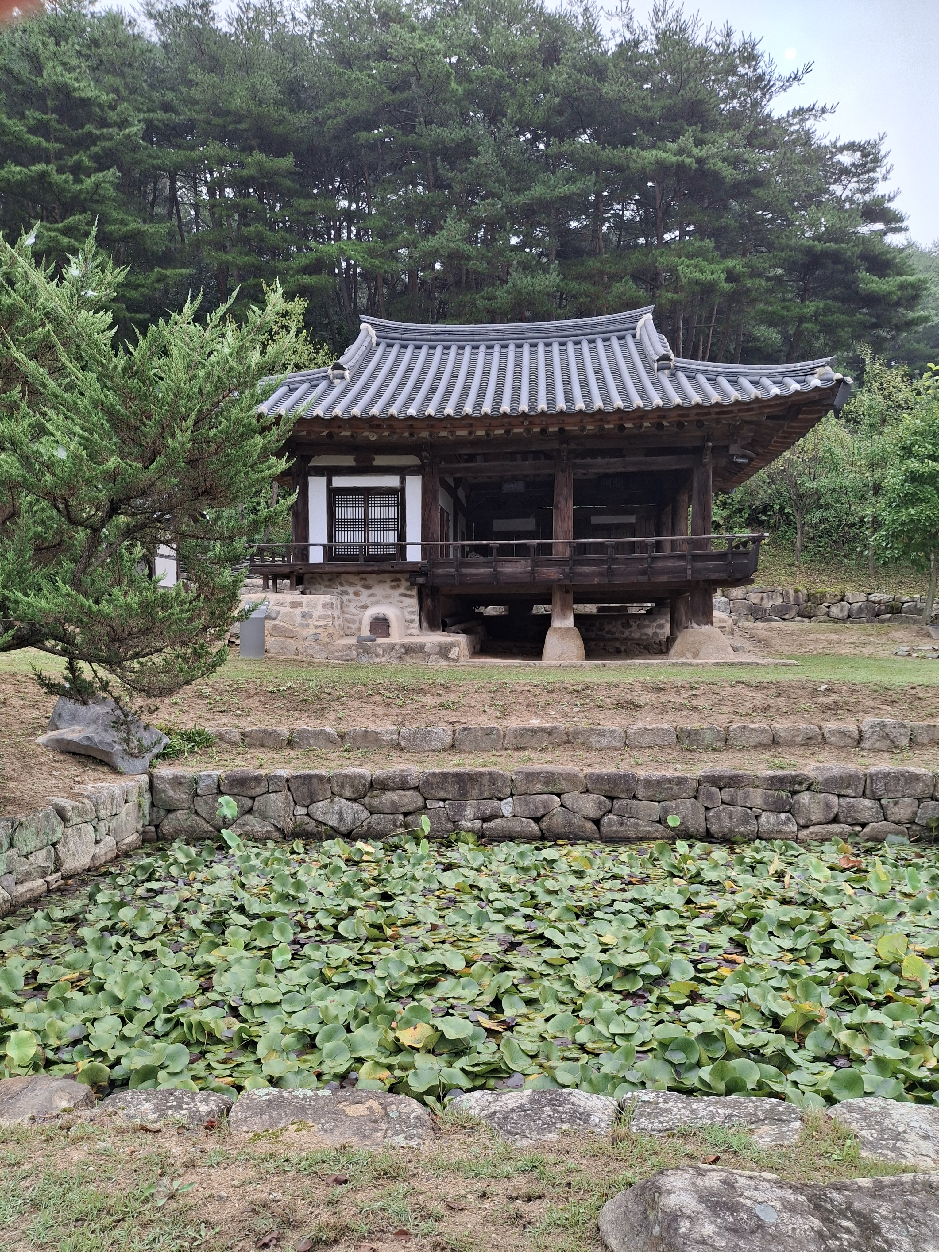 작성자 프로필 이미지