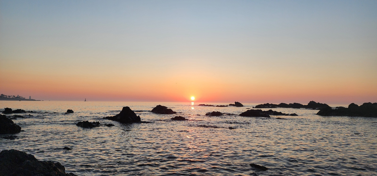 작성자 프로필 이미지