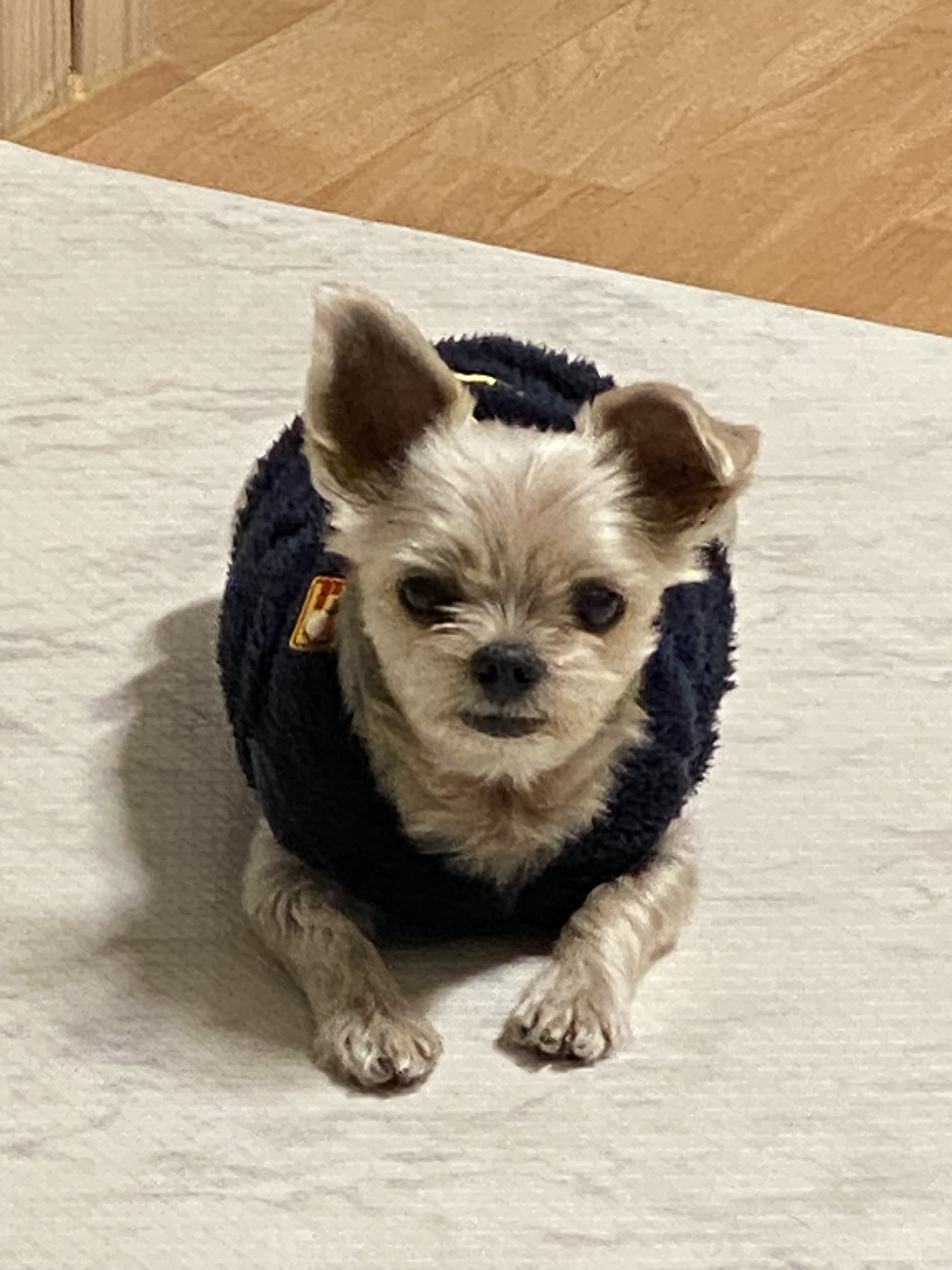 작성자 프로필 이미지