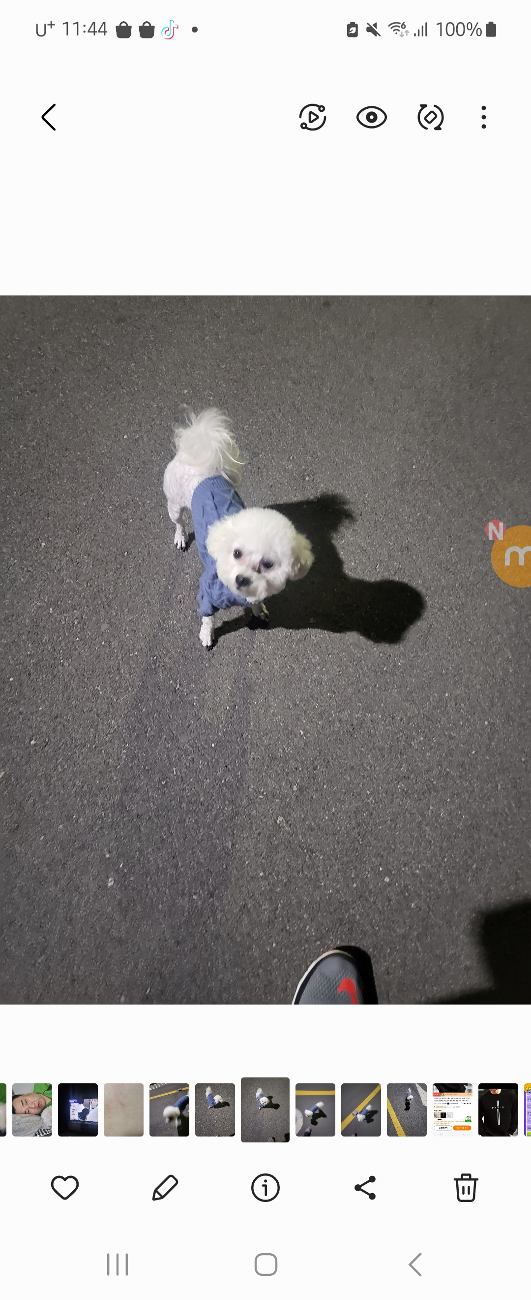 작성자 프로필 이미지