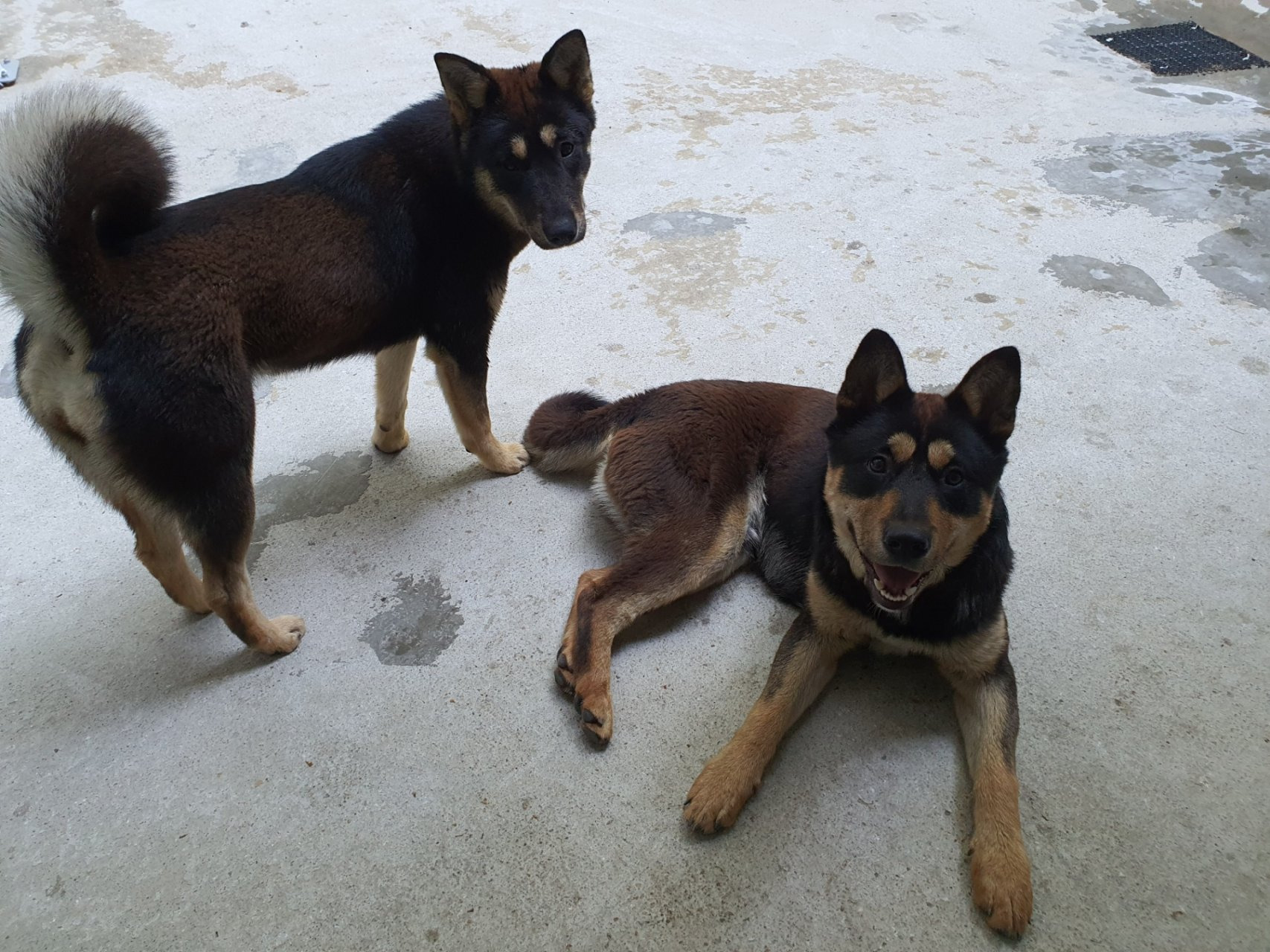 작성자 프로필 이미지