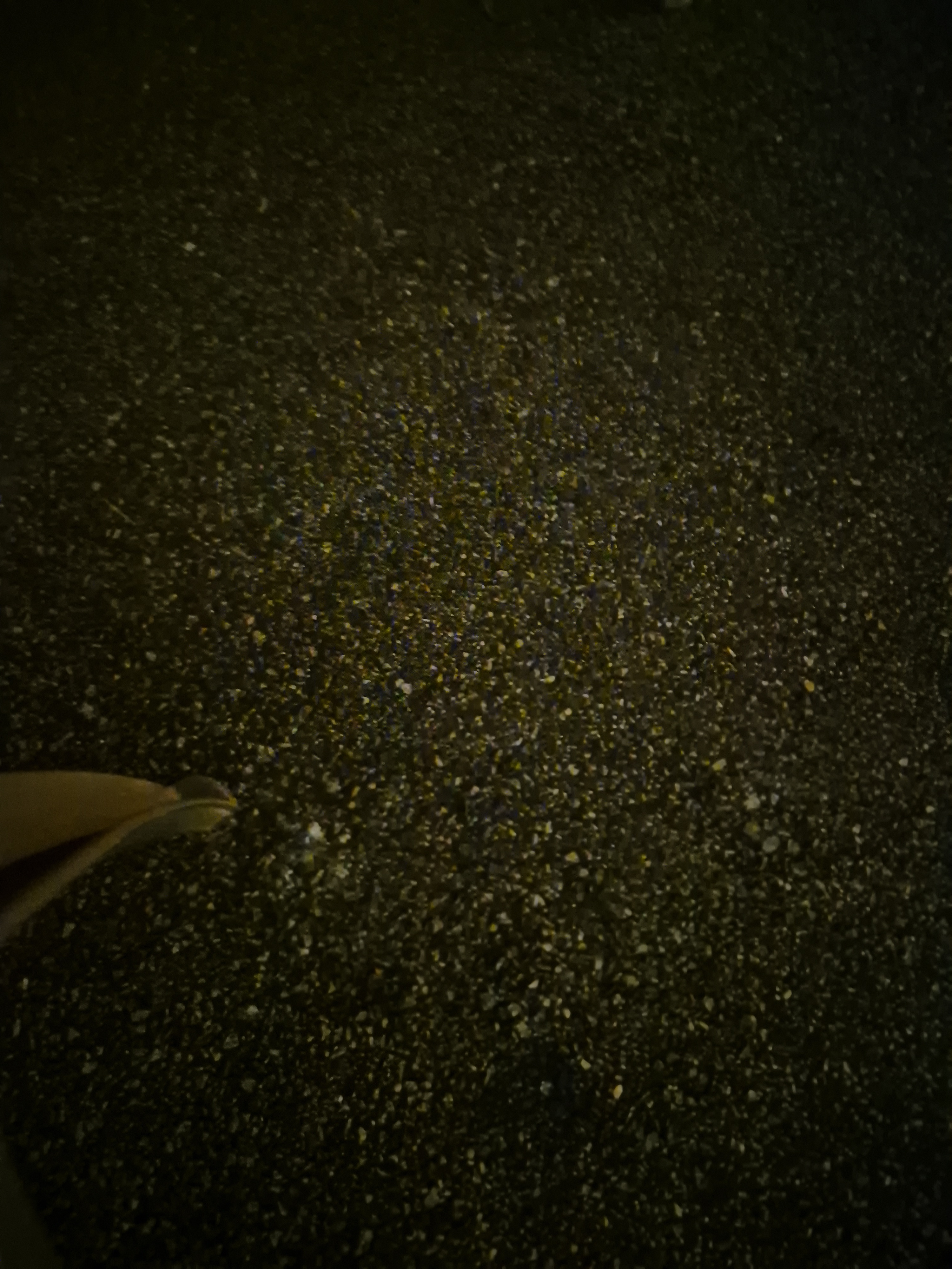 히로로또 프로필 이미지