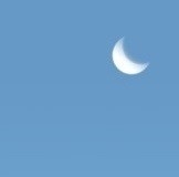 작성자 프로필 이미지