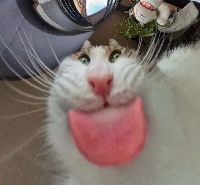 작성자 프로필 이미지