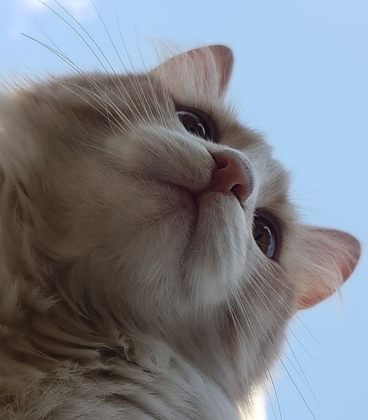 작성자 프로필 이미지