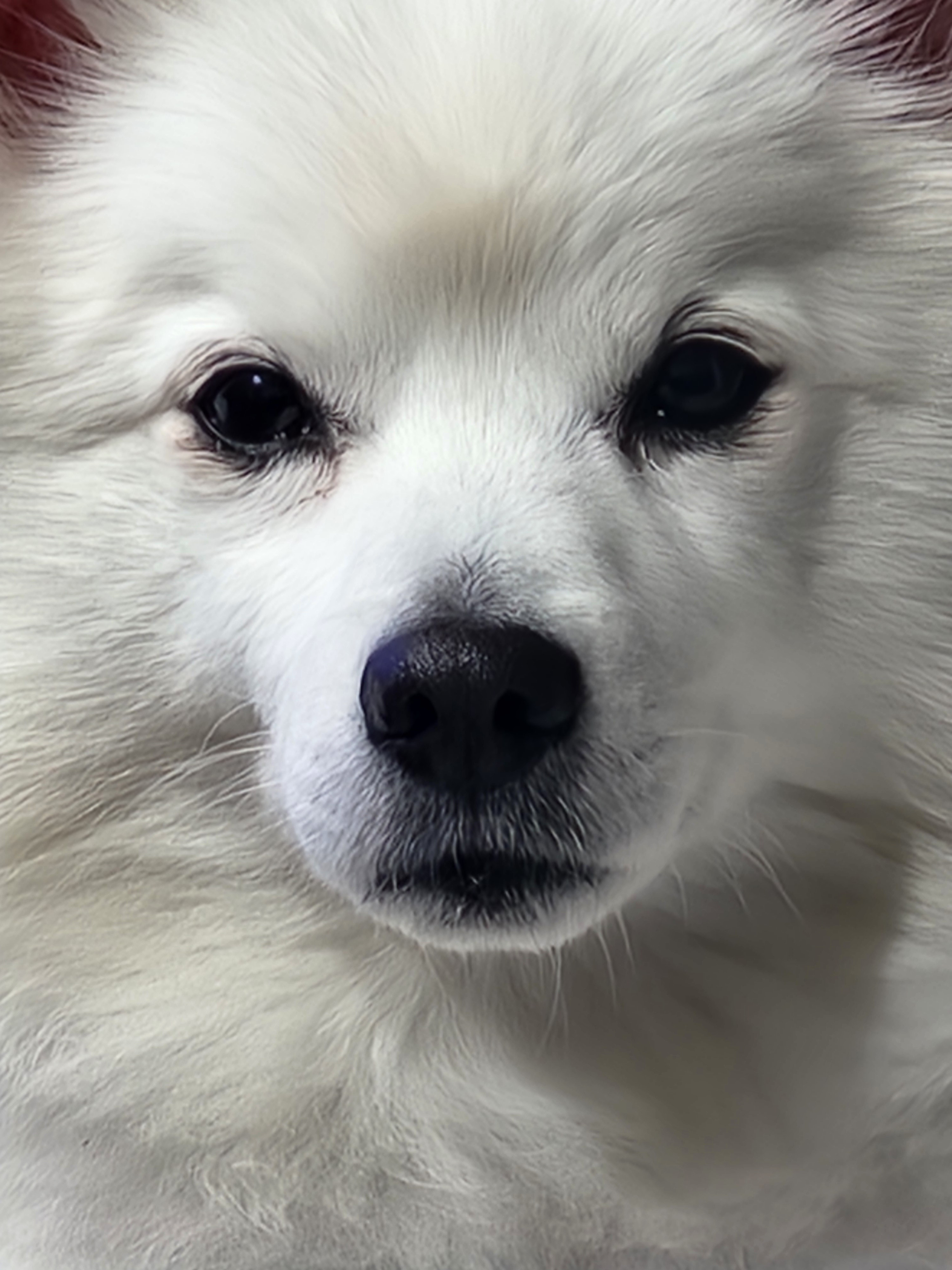 작성자 프로필 이미지