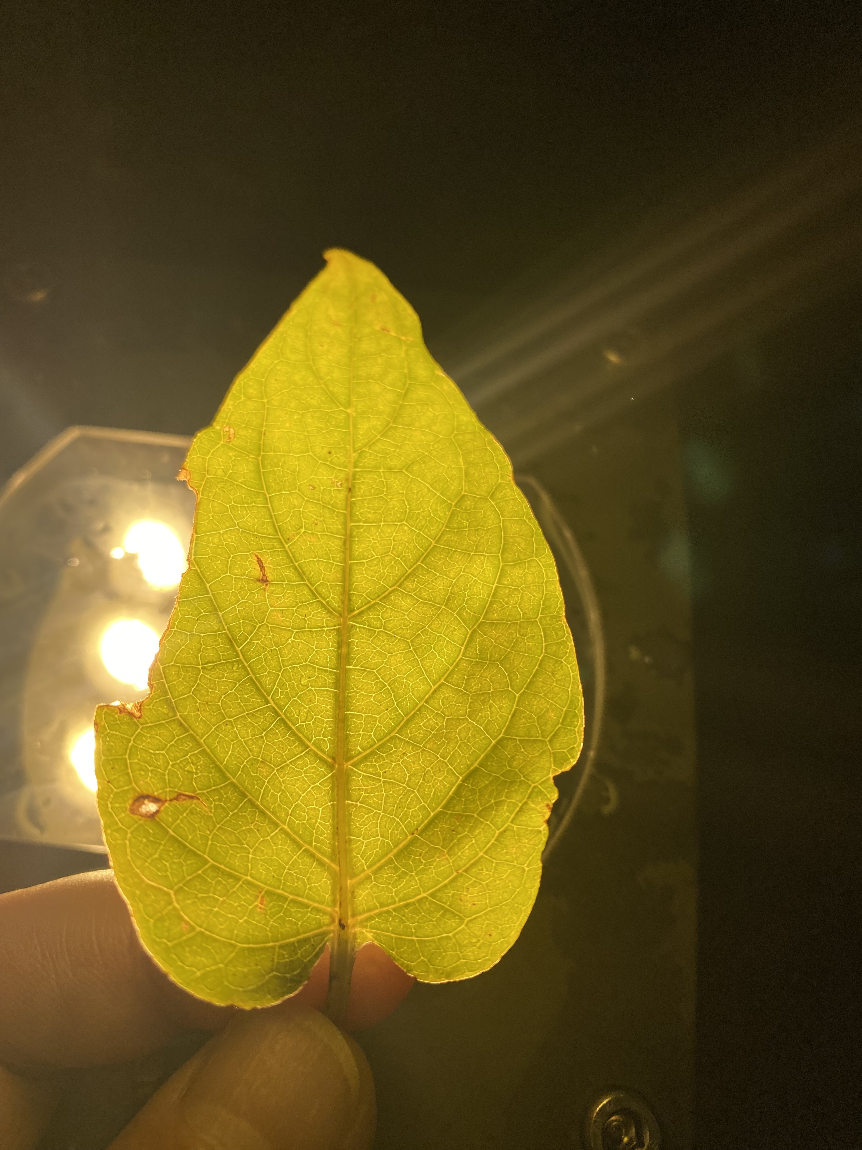 작성자 프로필 이미지