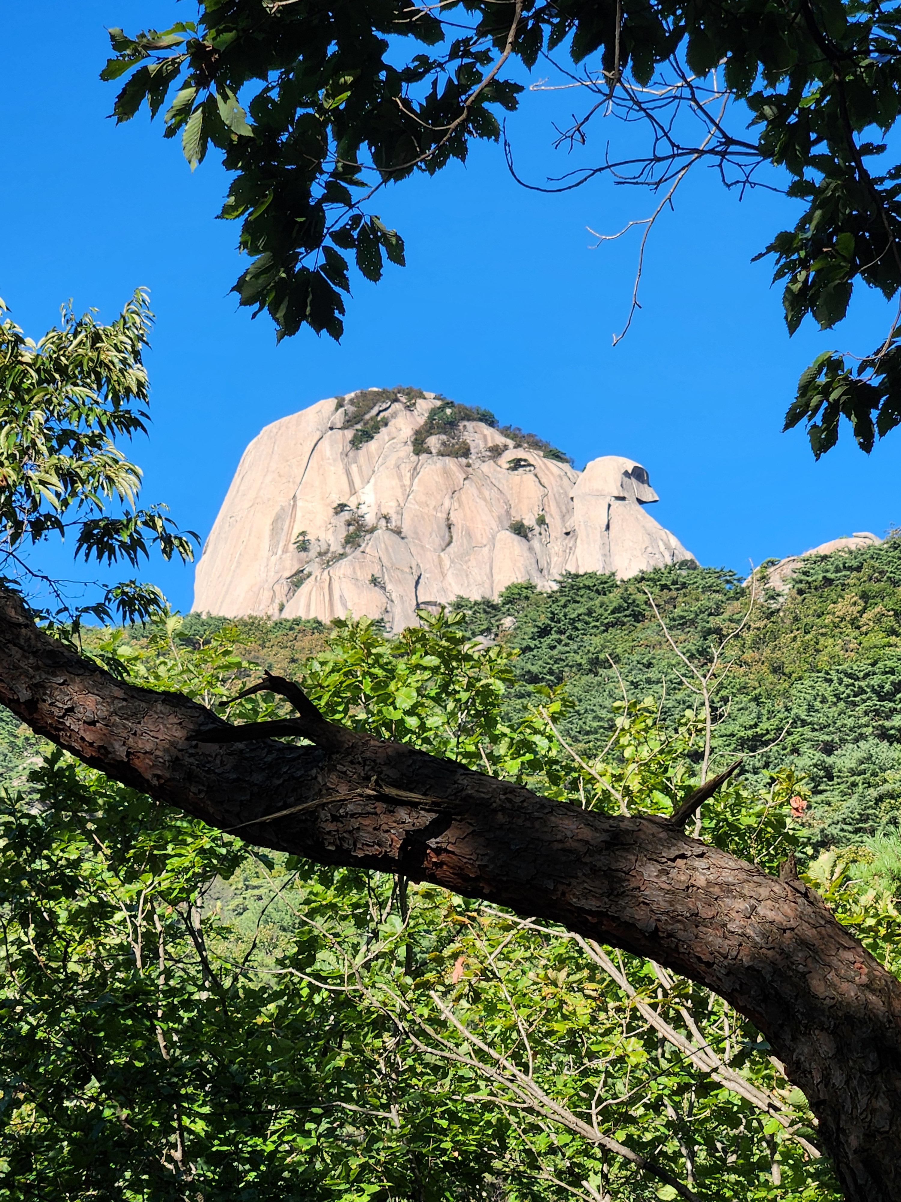 작성자 프로필 이미지