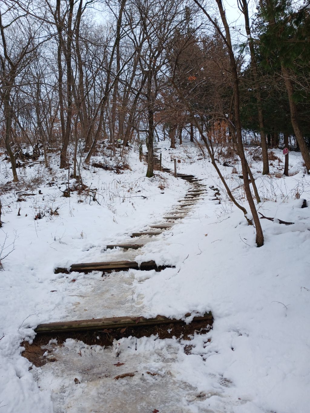 작성자 프로필 이미지