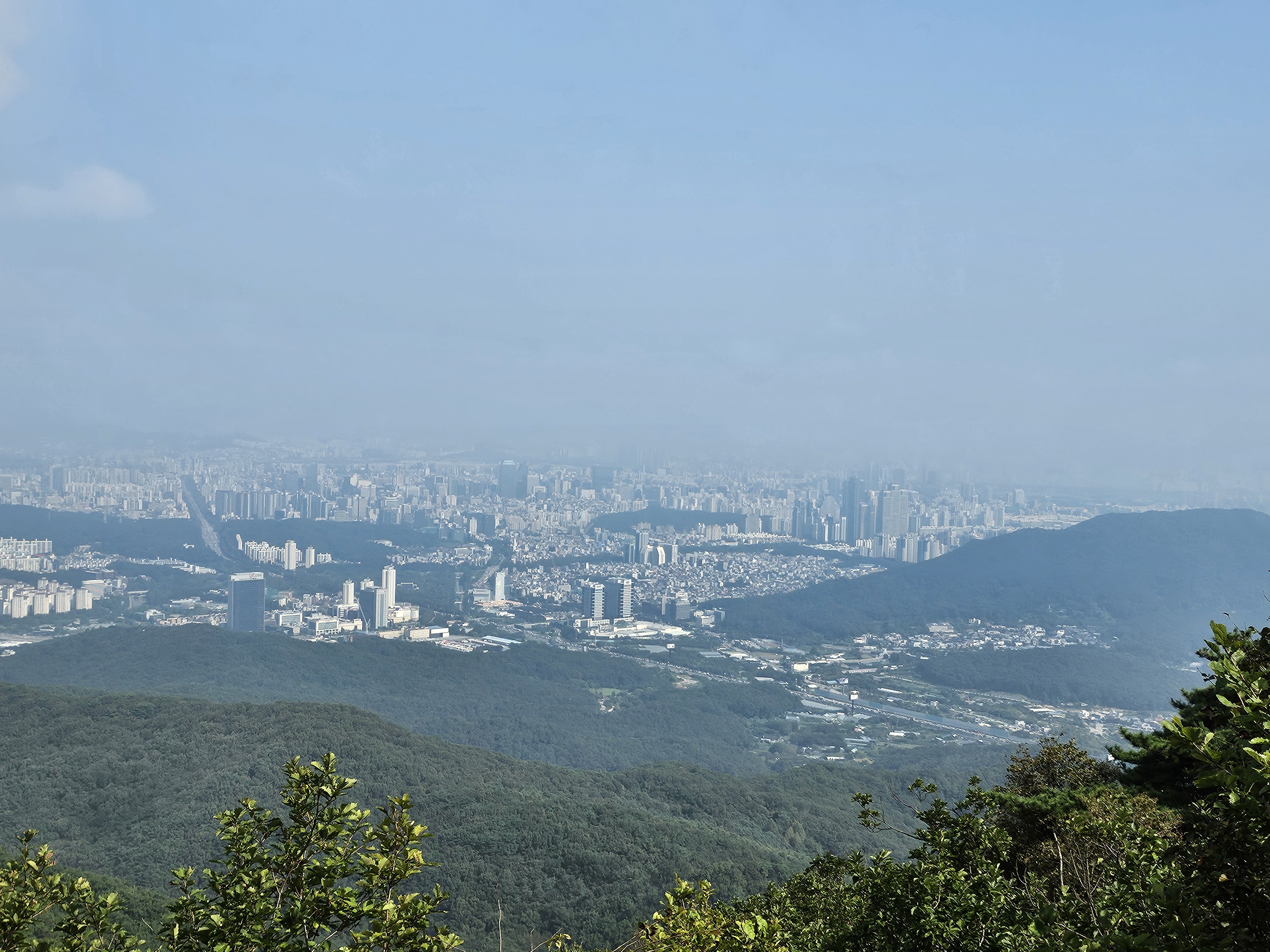 작성자 프로필 이미지