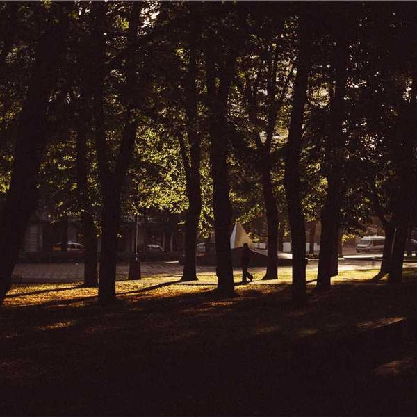 작성자 프로필 이미지