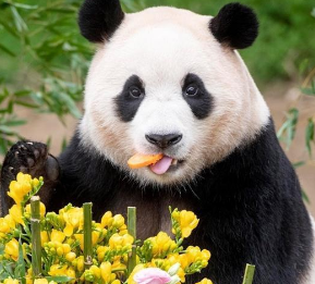 작성자 프로필 이미지